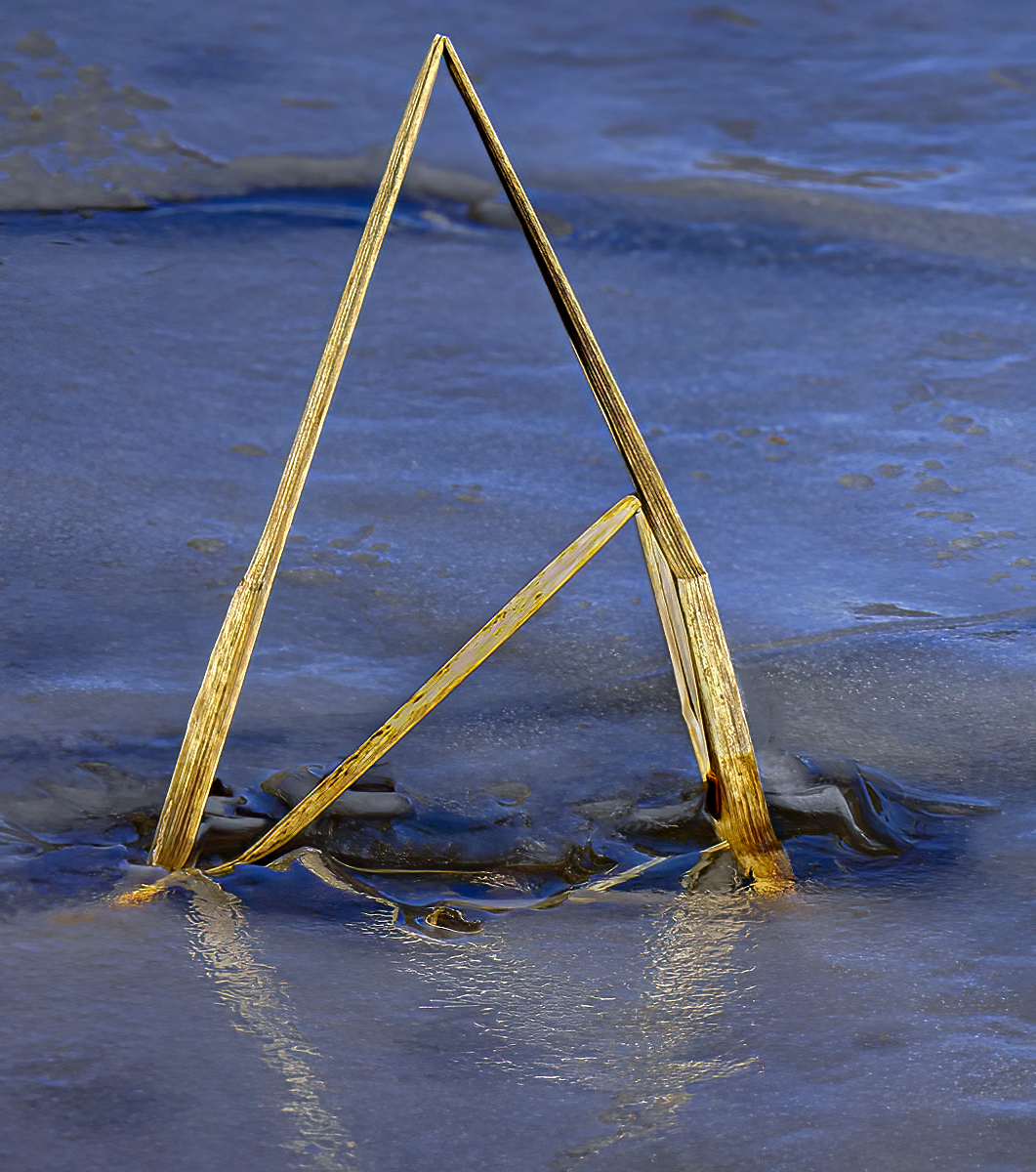 Forrest Marjorie Triangles in rough ice Nature   General   Class A 20251022